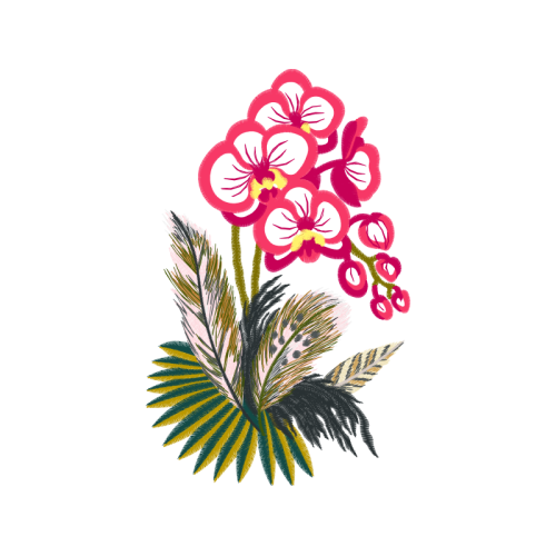 Philippines Animals Philippines Animals