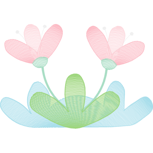 Photography Animals Photography Animals