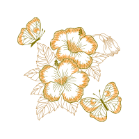 Pieridae Animals Pieridae Animals