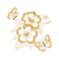 Pieridae Animals Pieridae Animals