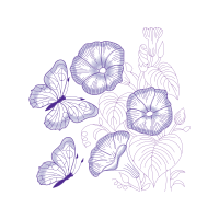 Pieridae Animals Pieridae Animals