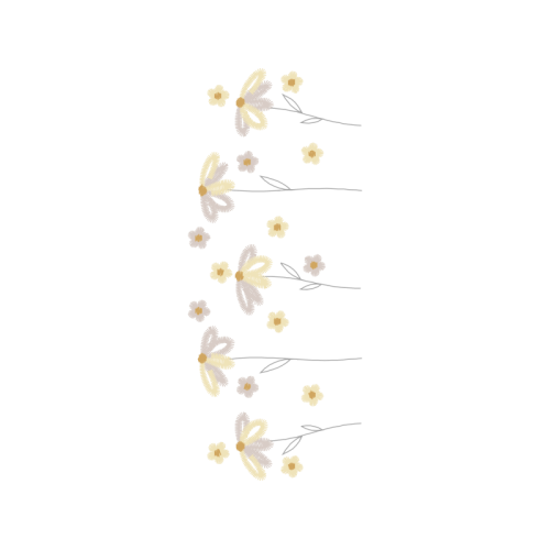 Pink Animals Pink Animals