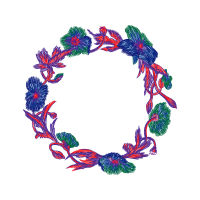 Pink Animals Pink Animals