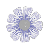 Plate Animals Plate Animals