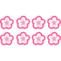 Pochette Ours Animals Pochette Ours Animals