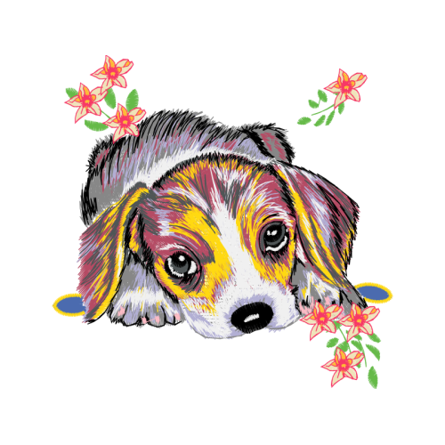 Pocket Beagle Animals Pocket Beagle Animals