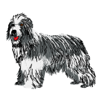 Polish Lowland Sheepdog Animals