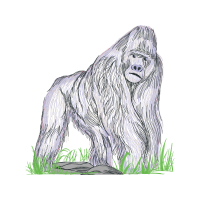 Polish Lowland Sheepdog Animals