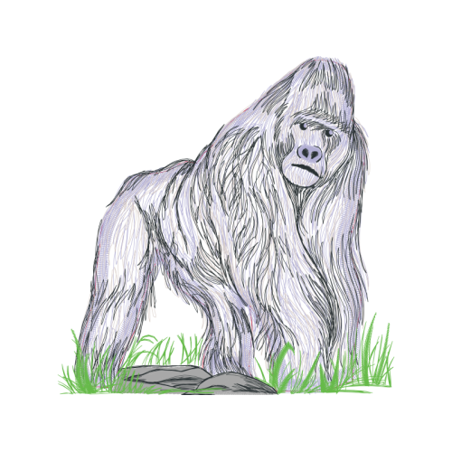 Polish Lowland Sheepdog Animals Polish Lowland Sheepdog Animals