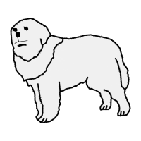 Polish Lowland Sheepdog Animals