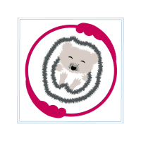 Pomeranian Animals Pomeranian Animals