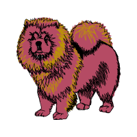 Pomeranian Animals