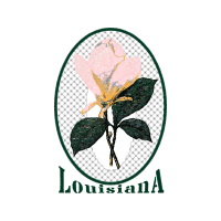 Portable Network Graphics Animals Portable Network Graphics Animals