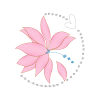 Portable Network Graphics Animals Portable Network Graphics Animals