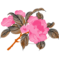 Prairie Rose Animals Prairie Rose Animals