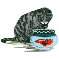 Prairie Vole Animals