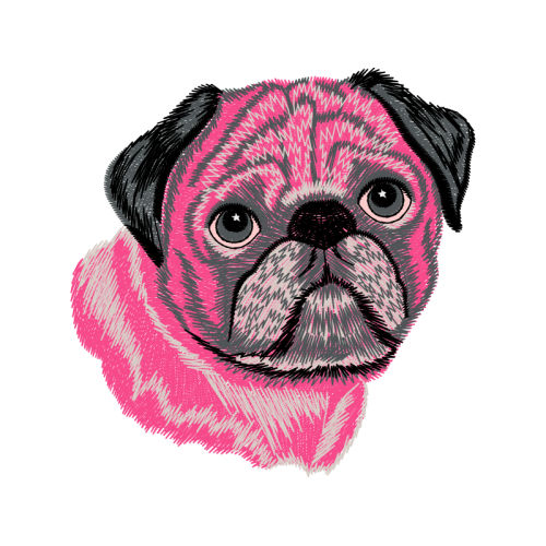 Pug Animals Pug Animals