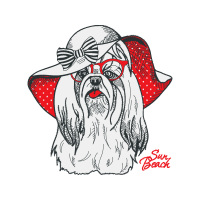 Pug Animals Pug Animals