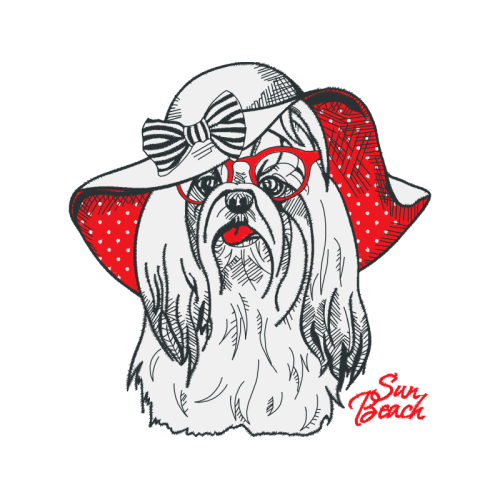 Pug Animals Pug Animals