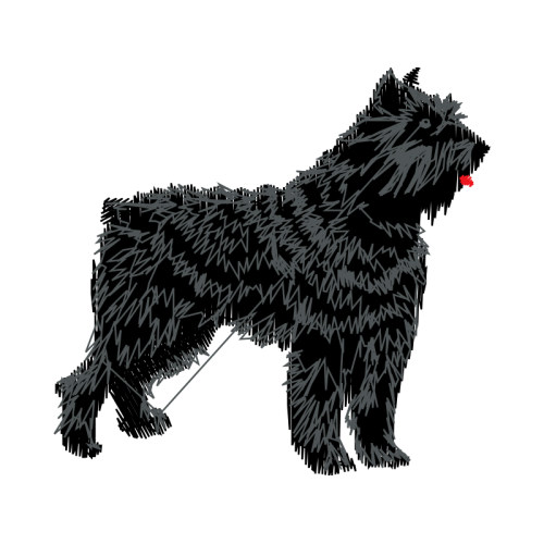 Puli Dog Animals Puli Dog Animals