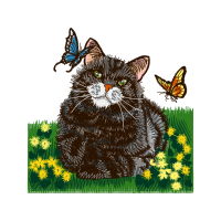 Ragamuffin Animals Ragamuffin Animals