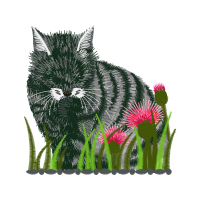 Ragamuffin Animals Ragamuffin Animals