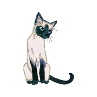 Ragdoll Animals Ragdoll Animals