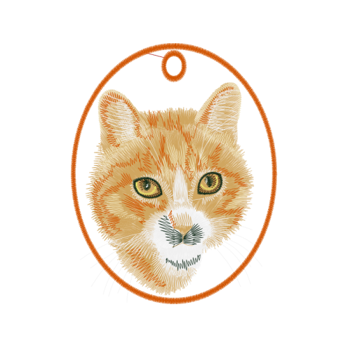 Ragdoll Animals Ragdoll Animals