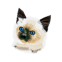 Ragdoll Animals Ragdoll Animals