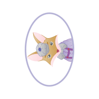 Ragdoll Animals Ragdoll Animals