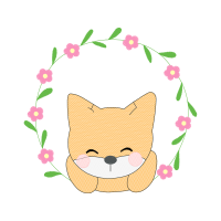 Ragdoll Animals Ragdoll Animals