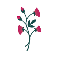 Red Animals Red Animals