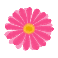 Red Animals Red Animals