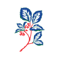 Red Animals Red Animals