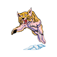 Red Fox Animals Red Fox Animals