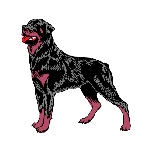 Rottweiler Animals Rottweiler Animals