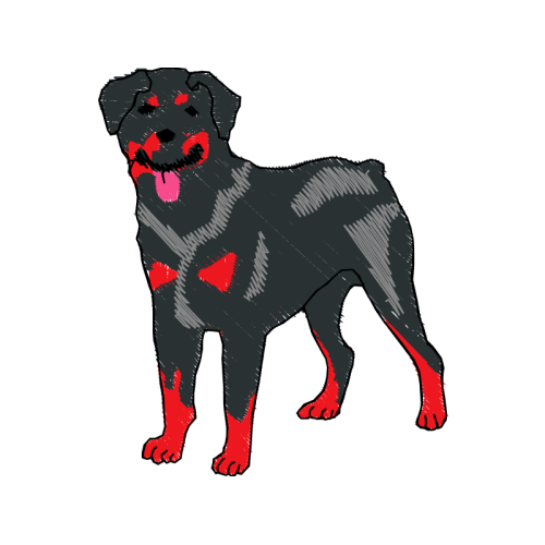 Rottweiler Animals Rottweiler Animals