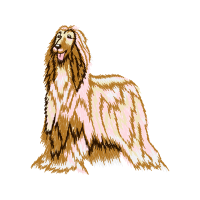 Rough Collie Animals Rough Collie Animals