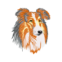 Rough Collie Animals Rough Collie Animals