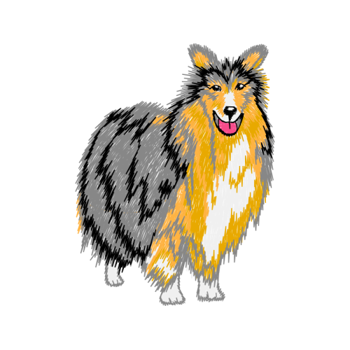 Rough Collie Animals Rough Collie Animals