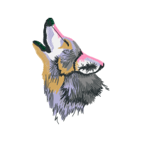 Rough Collie Animals Rough Collie Animals