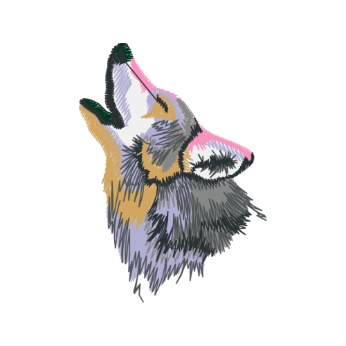 Rough Collie Animals Rough Collie Animals