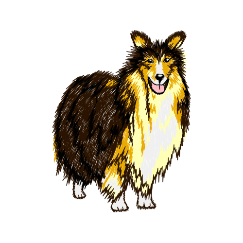 Rough Collie Animals Rough Collie Animals