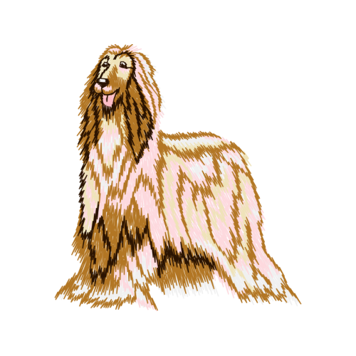 Rough Collie Animals Rough Collie Animals