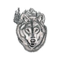 Russo European Laika Animals Russo European Laika Animals