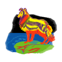 Schapendoes Animals Schapendoes Animals