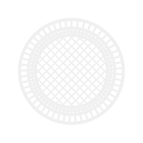 School Animals School Animals