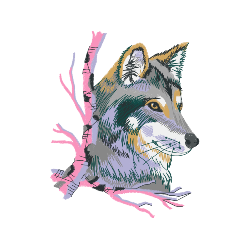 Seppala Siberian Sleddog Animals Seppala Siberian Sleddog Animals