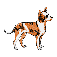 Seppala Siberian Sleddog Animals Seppala Siberian Sleddog Animals