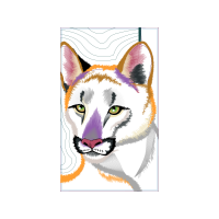 Seppala Siberian Sleddog Animals Seppala Siberian Sleddog Animals